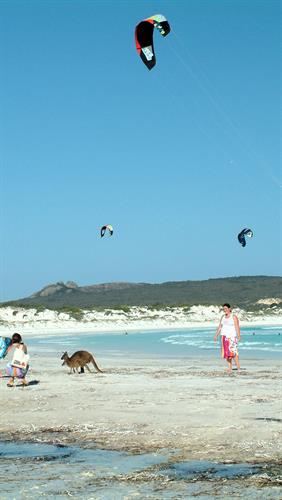 Lucky Bay, Cape Le Grand NP, WA.